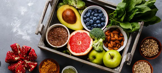 Is Grain-Free Really Better? What Pet Owners Need to Know